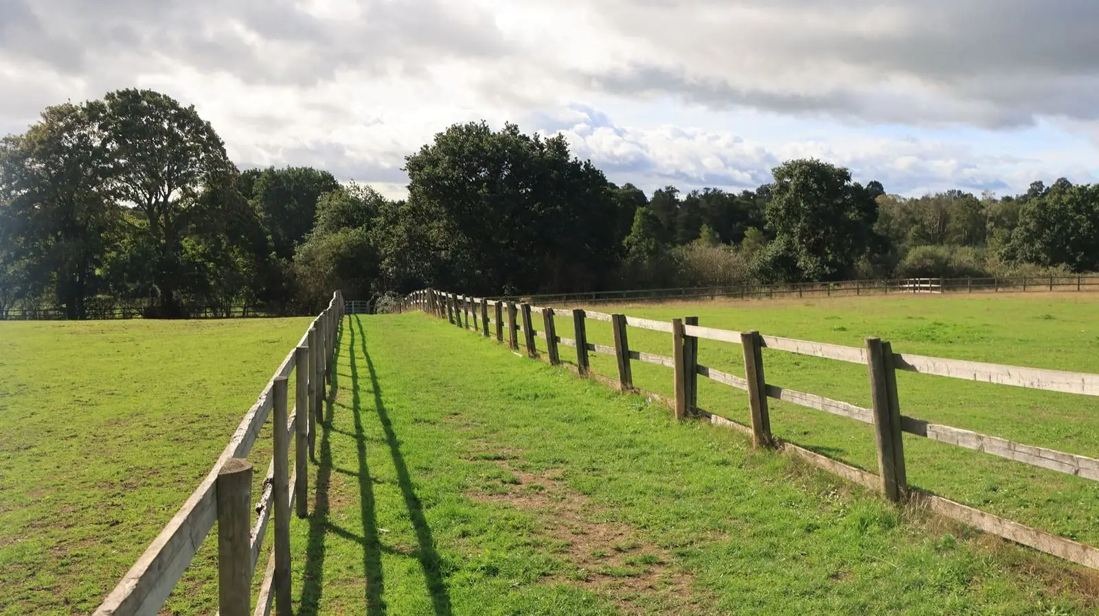 Timber post-and-rail fences running across green paddocks