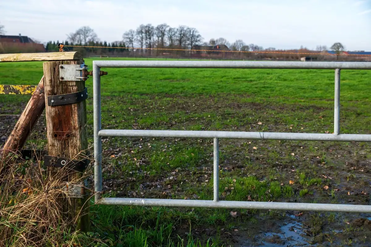 Farm gate in a timber fence beside a wet paddock