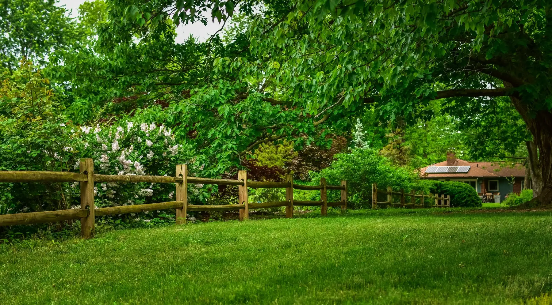 Timber post-and-rail fence along a green garden