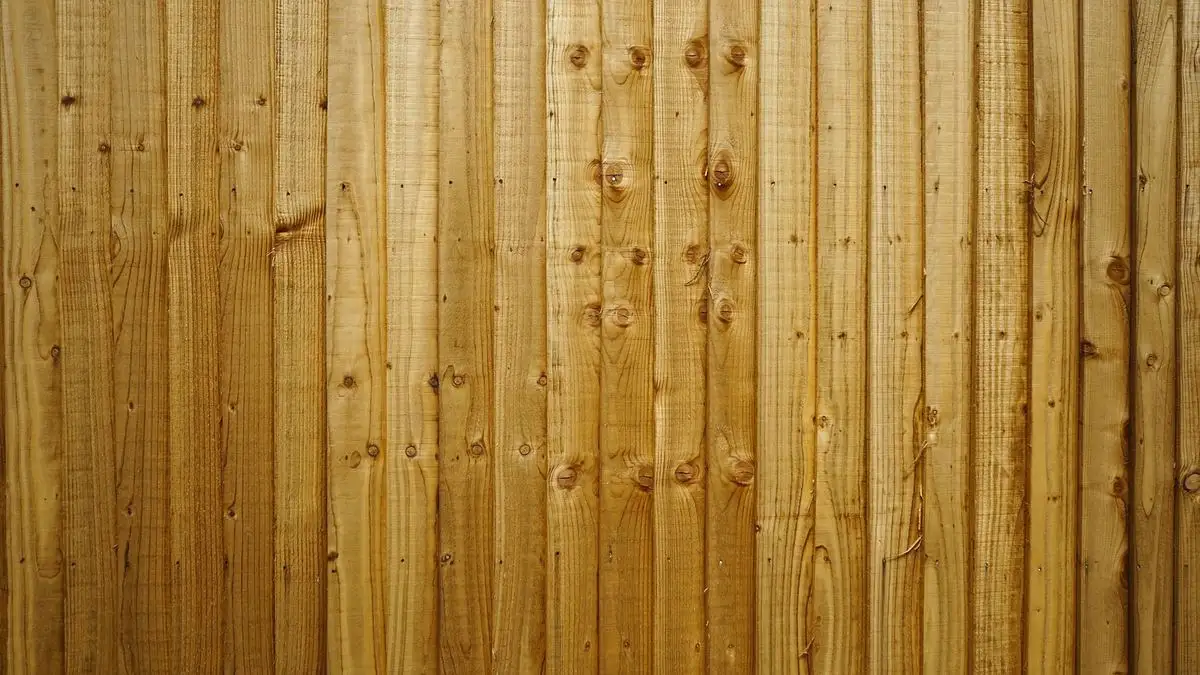 New timber fence palings, close up