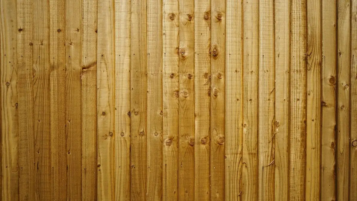 New timber fence palings, close up